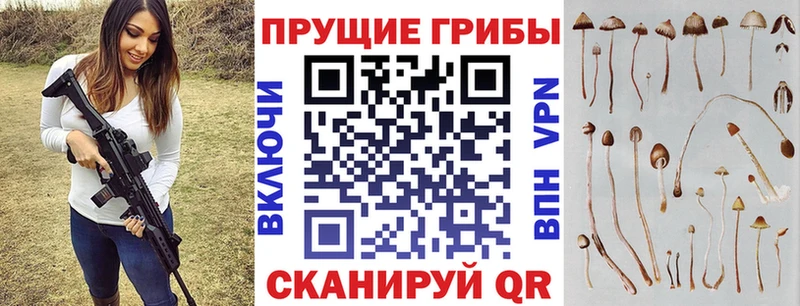 закладка  KRAKEN онион  Галлюциногенные грибы MAGIC MUSHROOMS  Тырныауз 